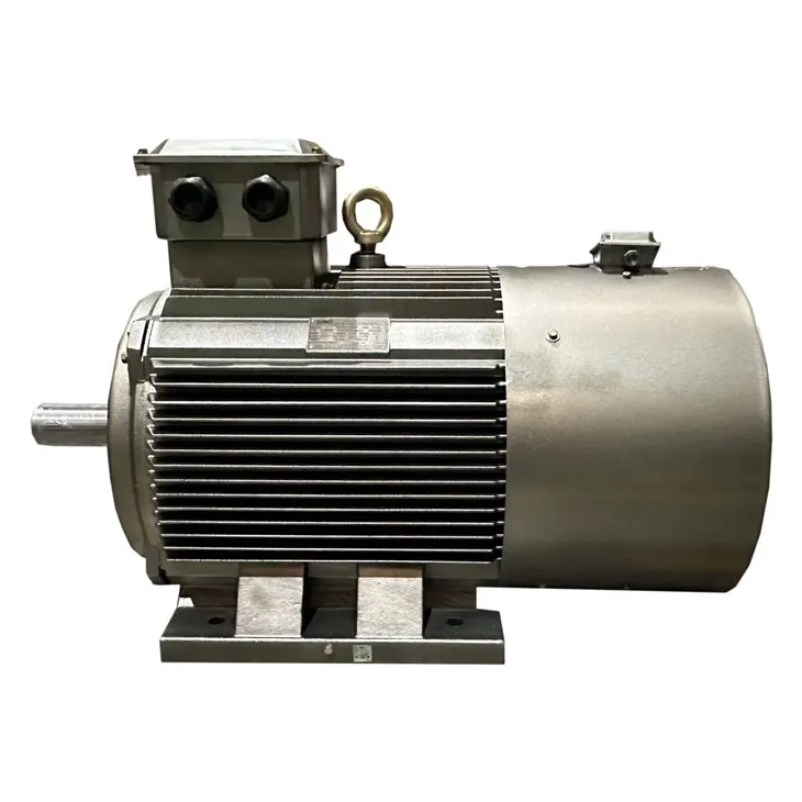 75kW Single Squirrel Cage Induction Motor suppliers
